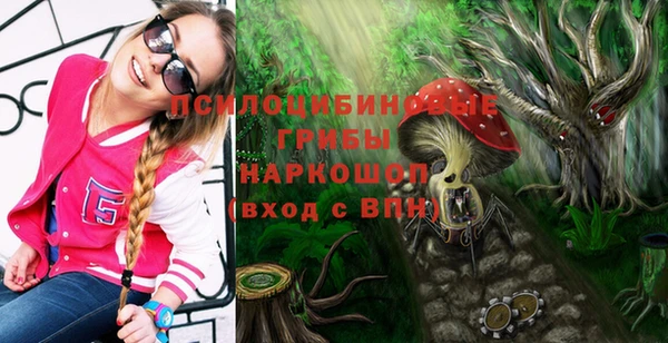 герыч Верхний Тагил