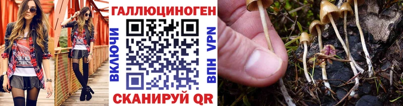 Псилоцибиновые грибы Psilocybe  Янаул 
